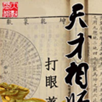 小說主角葉天|天才相師(起點網小說):內容簡介,作者簡介,人物形象,主角,修行界,。